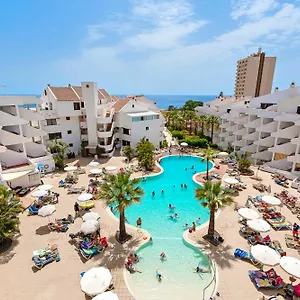 Paloma , Los Cristianos (Tenerife) España